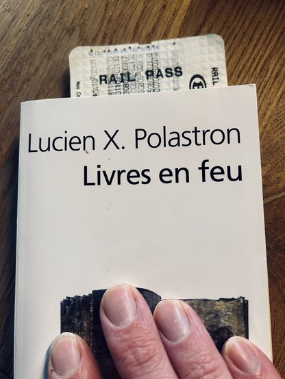 En 2010, je lisais Livres en feu, un ensemble fascinant de Lucien X. Polastron, qui recense sans fin les actes de destruction des bibliothèques depuis leur création.

https://sillon-fictionnel.club/post/livres-en-feu/