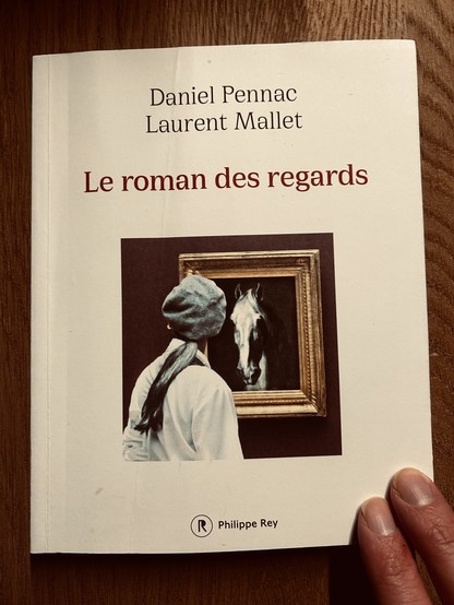 Le roman des regards, Daniel Pennac, Laurent Mallet, ed. Philippe Rey