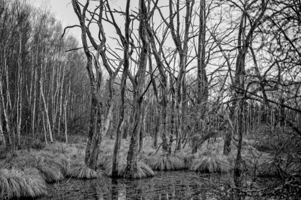 intrinsic geography, Belgium 2025