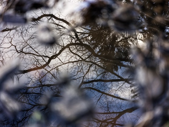 a collective disorder, Belgium 2026