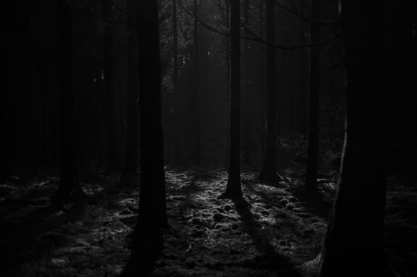 a better hope, Belgium 2026