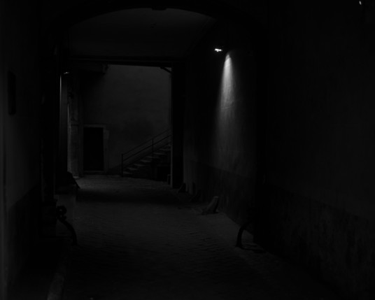 show me, France 2026