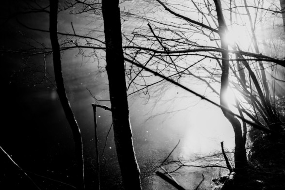 the landing, Belgium 2016