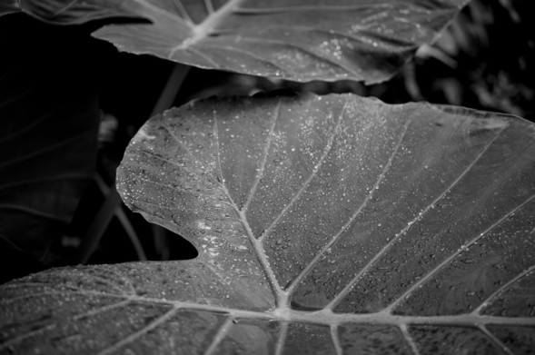the geography of silence
