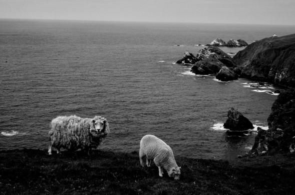 away from us, Shetland 2026
