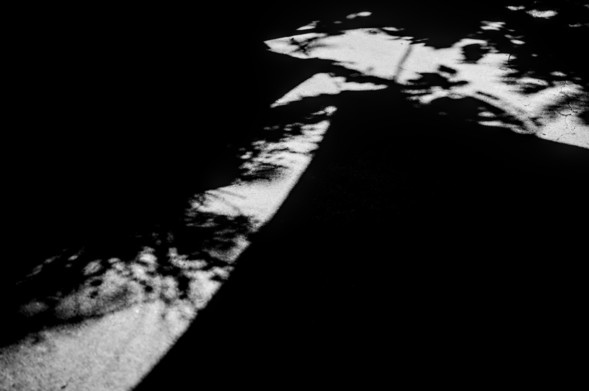 the endless shadow, Arles 2026