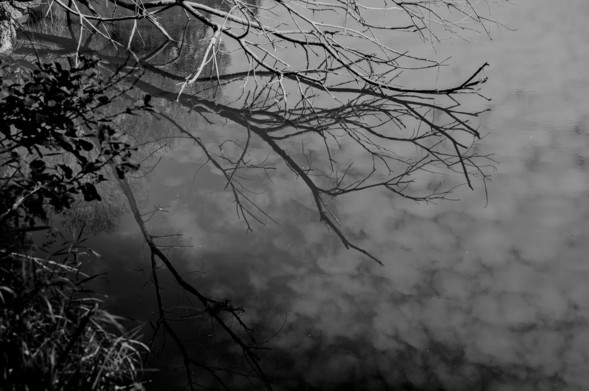 endless water, Belgium 2026